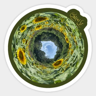 Sunflower Sunshower Sticker